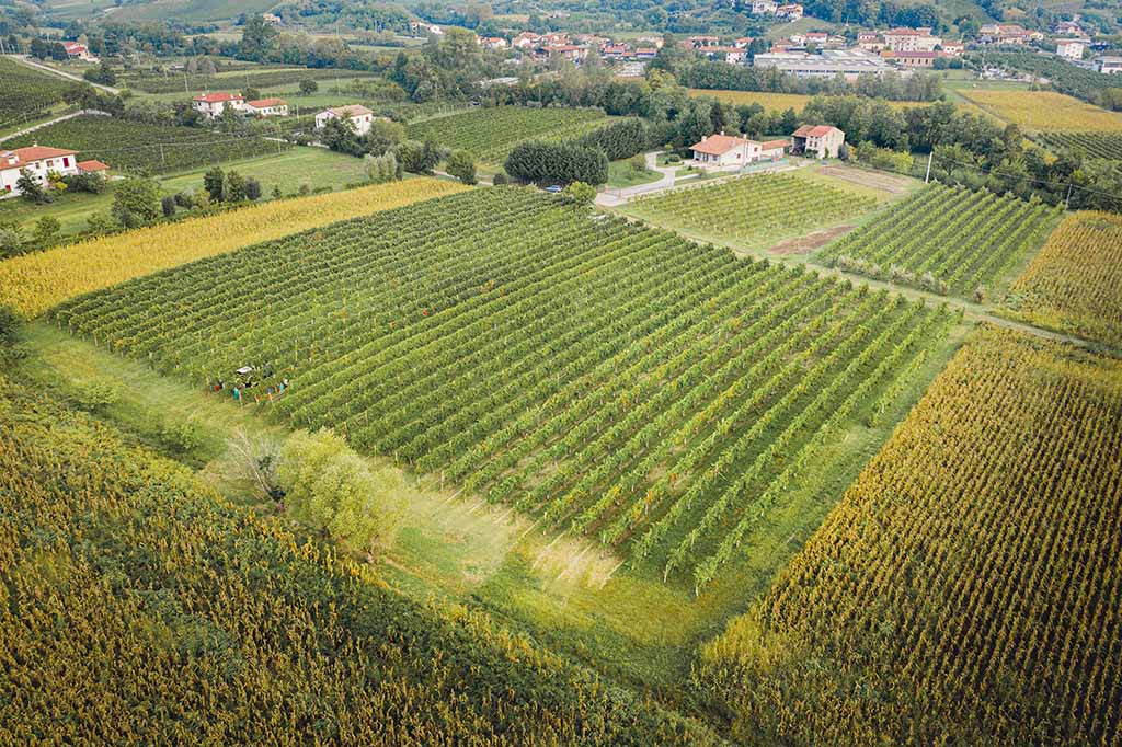 vigneti al monte di livio colceresa